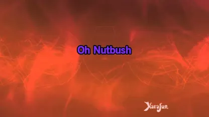 It’s Tina Turner night at karaoke. You sign up to sing: