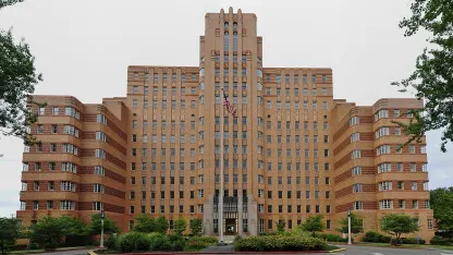 Project Precipice Week 4: a breakfast octopus prequel