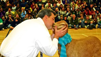 that poor goat......