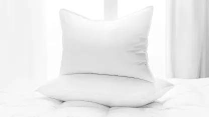 2-Pack: Vera Nice Aloe Vera Gel Pillow