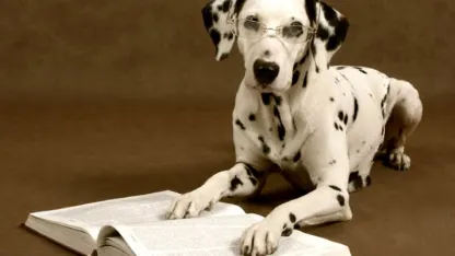 Dog Literature
