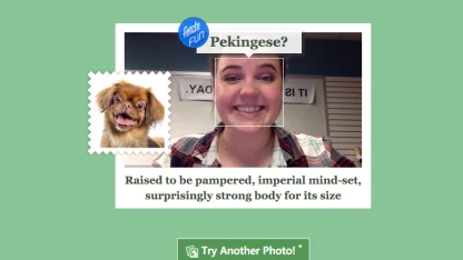 What type of dog are you?