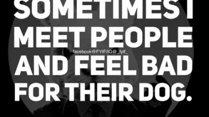 I feel bad for the dog...