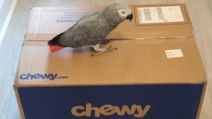 Being GOAT this month has gone to Walter's head