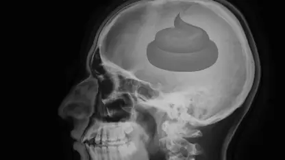 Who's gotten one of these shit bags?