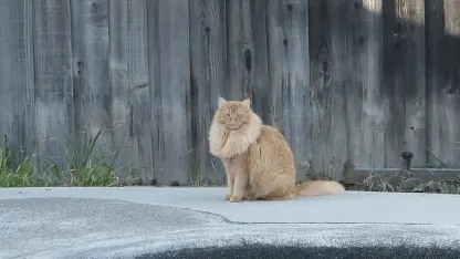 The Avengers are all grown up