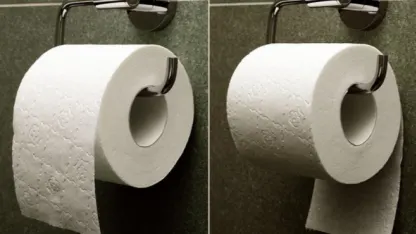 Toilet paper preference?
