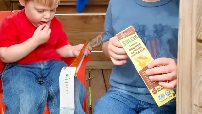 72-Pack: Solely Organic Fruit Jerky