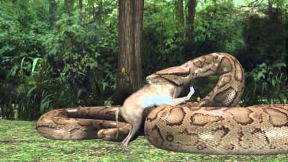 March 2017 Goat Nominations - Rigged Edition