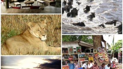 What's your lifelong bucket-list dream achievement? (If you've done it, brag in the forum!)