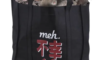 Fukobukuro 19: Fools Rush In