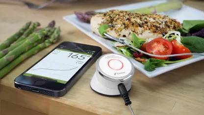 2-for-Tuesday: Weber iDevices Mini Kitchen Bluetooth Thermometer