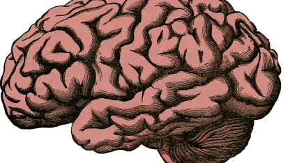 #cranial_calisthenics not going over so well