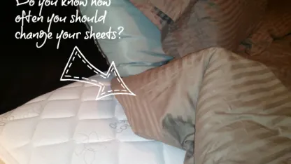 How often do you change your sheets?