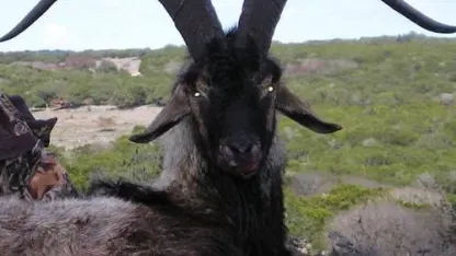 Spooky Scary Octgoatber (October 2021 Scapegoat Blame Thread)