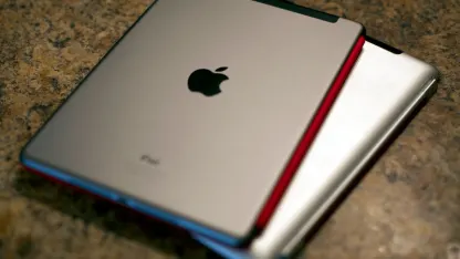 People who don't have some kind of case for their iPads are: