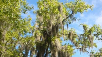 You know you are in the deep south when...