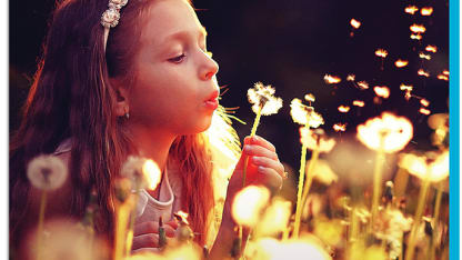 Photoshop/Premiere Elements PSA