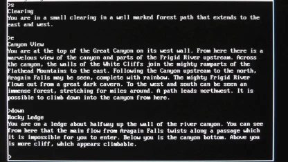 Did you ever play a Zork game?