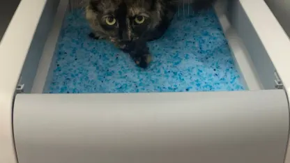 What recurring expense annoys you the most?