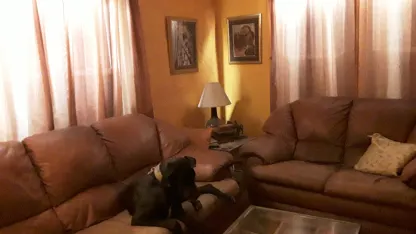 Seasonal Affective Disorder