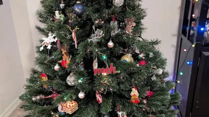 Christmeh Tree is up!