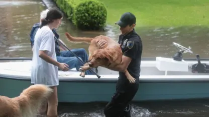 Help for those affected by the storm (Hurricane/Tropical Storm Harvey)