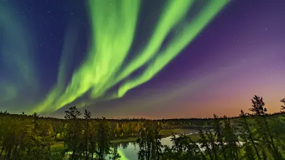 Do any of you do Halloween lights?  And can we see them?