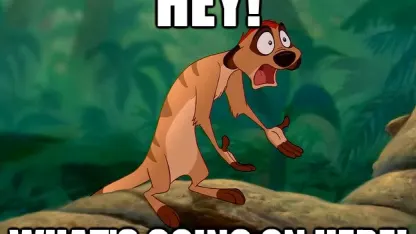 WTF is going on Meh?