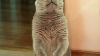 Delayed Forum Email Notifications