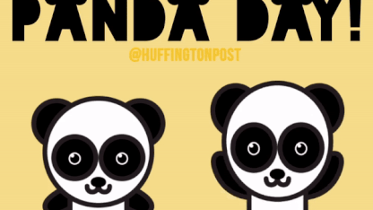 Happy National Panda Day!