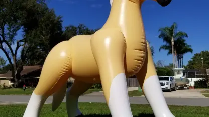 Inflatable of the Day 4/5