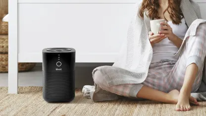 2-Pack: Levoit Desktop Air Purifier