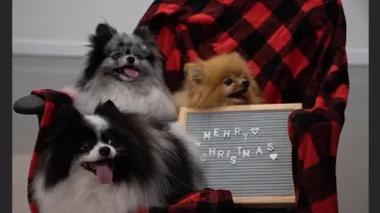 Happy Happiest of Holidays from your Mehrry Muppet & her POMSQUAD