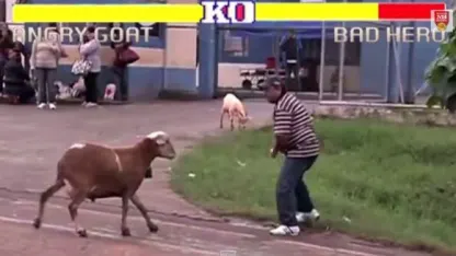 Street Fighter, Angry Goat Edition