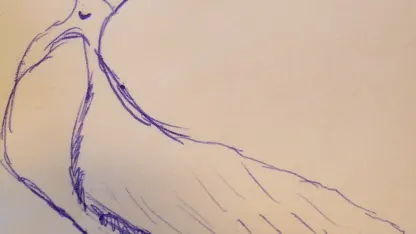 SHC Post-it Drawings