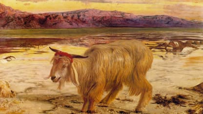 Curse You, David Gray! - Scapegoat of the Month {{CLOSED}}