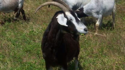 One time exception, need hint on future product info