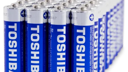 Toshiba AA Alkaline Batteries (40-Pack)
