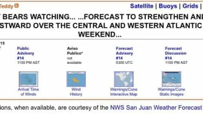 Teddy Bears Watching