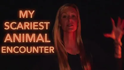 My scariest animal encounter was with: