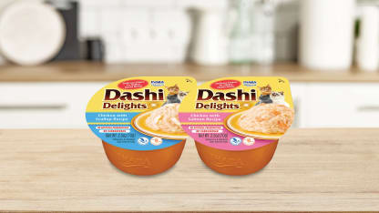 48-Pack: INABA Dashi Delights for Cats