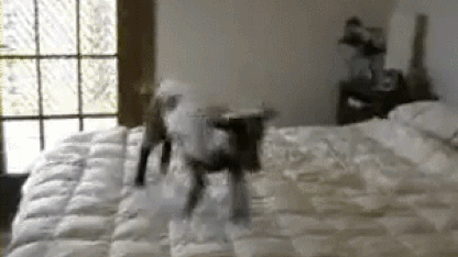 April 7th – "Movie Madness”