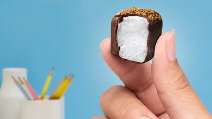 12-Pack: Jet-Puffed Dark Chocolate Covered Coconut Marshmallows