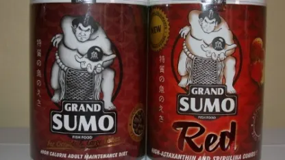 GRAND SUMO