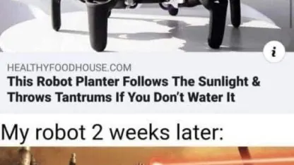 This is how it begins.