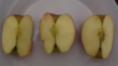 Meh Experiment Variables: Pricing