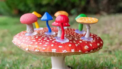 Mini Mushroom Collection