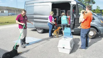 4-4-20 (Mel Tillis lights up day)