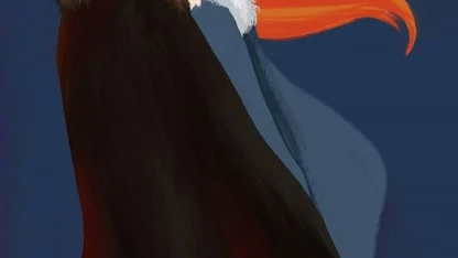 Hey Sansa fans, check this out